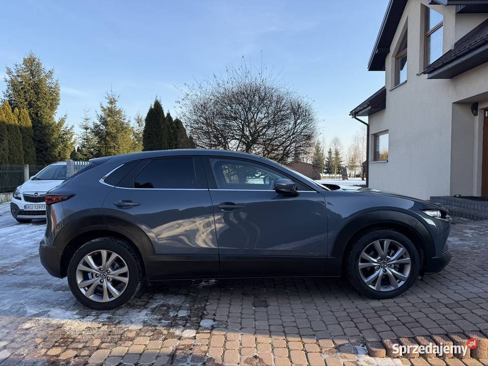 Mazda CX30 Kamera Keyless Blis Zadbana Niski 186KM Kutno