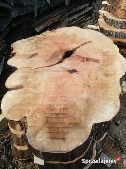 Plastry grusza 118x75x8 także dąb i wiąz Stoliki kawowe i ławy sprzedam
