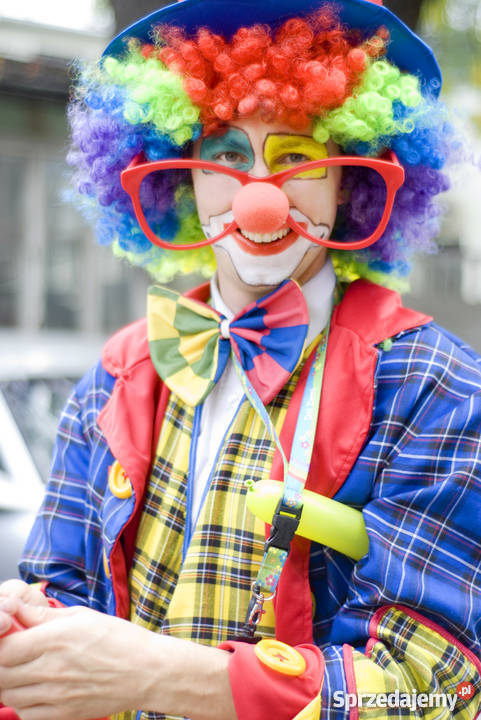 Animatorzy dzieci na każą okazję Opole obsługa imprez