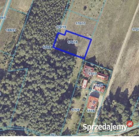 Działka pod lasem z wydanymi warunkami zabudowy 1101m2 Sprzedaż wielkopolskie Potażniki