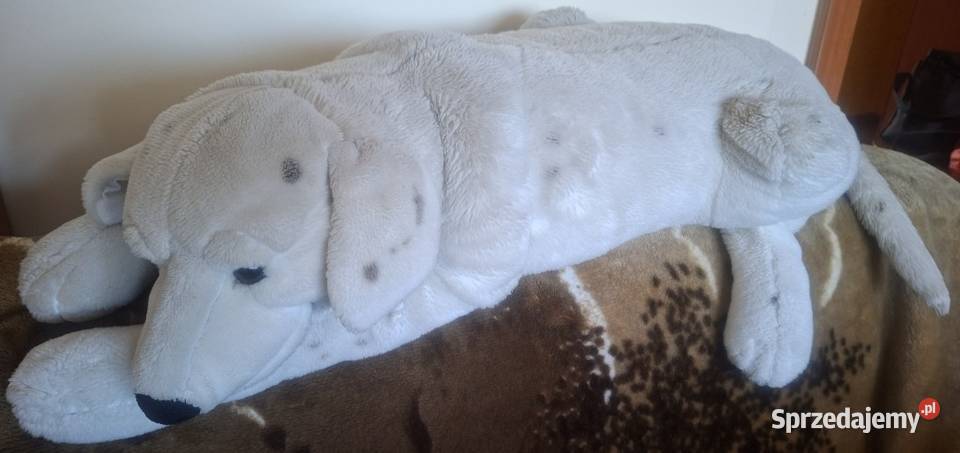 Duża maskotka pies poduszka pluszak leżący 111