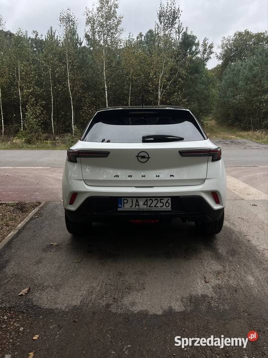 Opel Mokka GS Line komputer pokładowy Łuszczanów