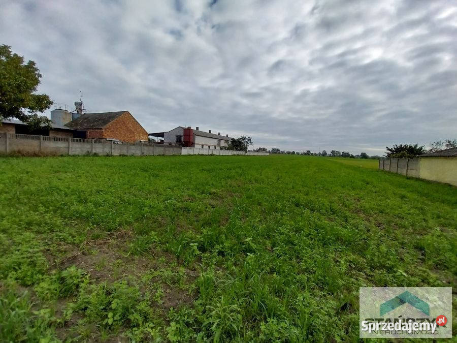 Ogłoszenie działka 3000m2 Maksymilianowo