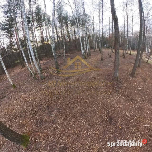 Sprzedaż gruntu AdamówWieś 4173m2 4173m2 Sprzedaż Adamów-Wieś