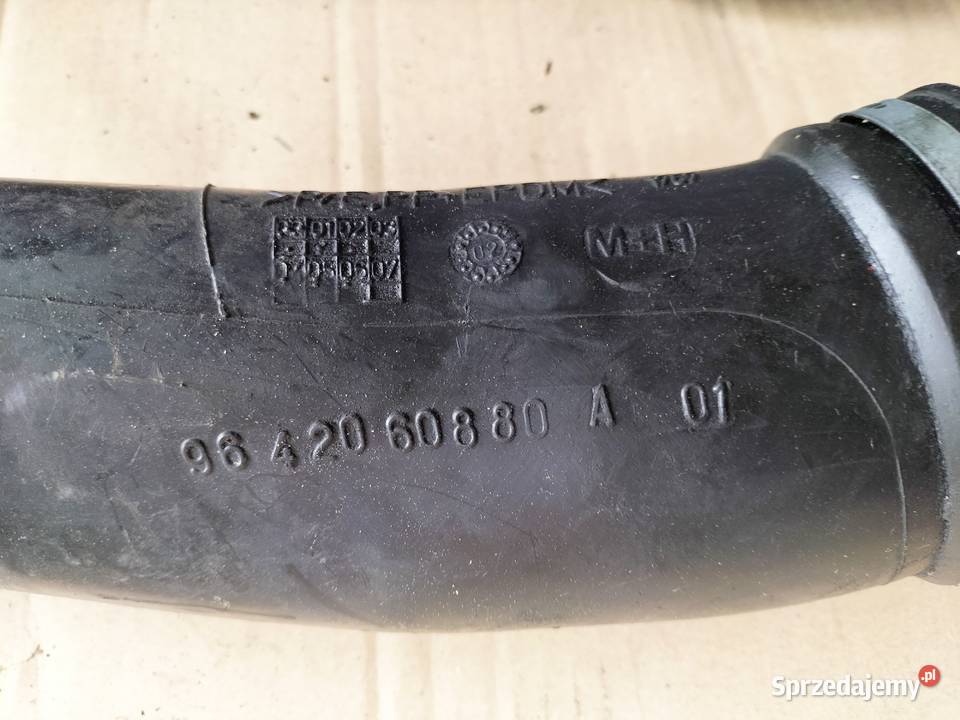 Peugeot 307 9642060880A RURA DOLOT POWIETRZA Kamień-Kolonia