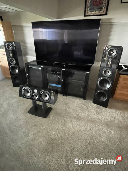 Legacy Audio Focus SE Floorstanding Speakers Torzym sprzedam