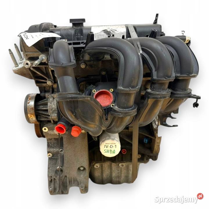 SILNIK SHDA Ford Focus II MK2 C C 16 16V 100 sprzedam