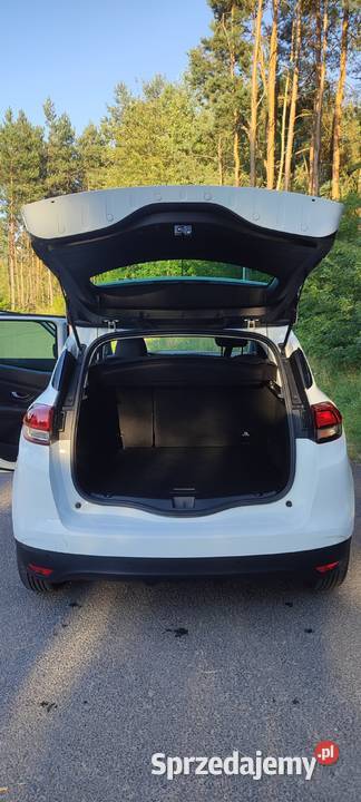 Renault Scenic 17 Blue dCi Zen diesel Ostrowiec Świętokrzyski sprzedam