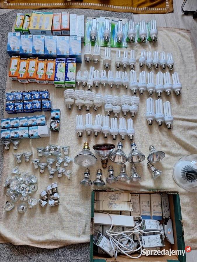 Żarówka philips Różne wartości Piła