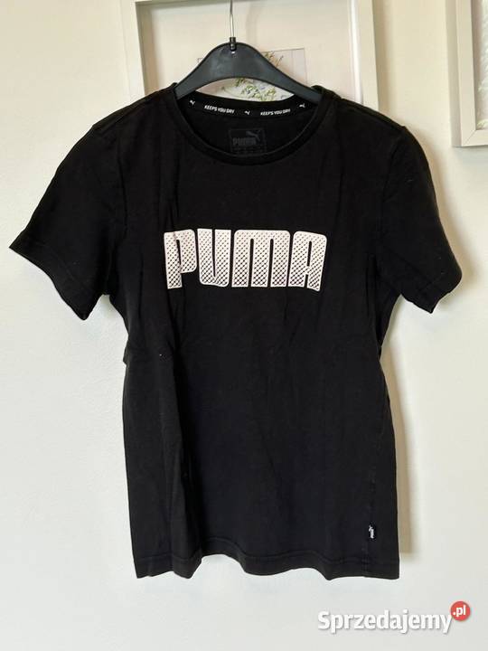 koszulka tshirt polo zachodniopomorskie