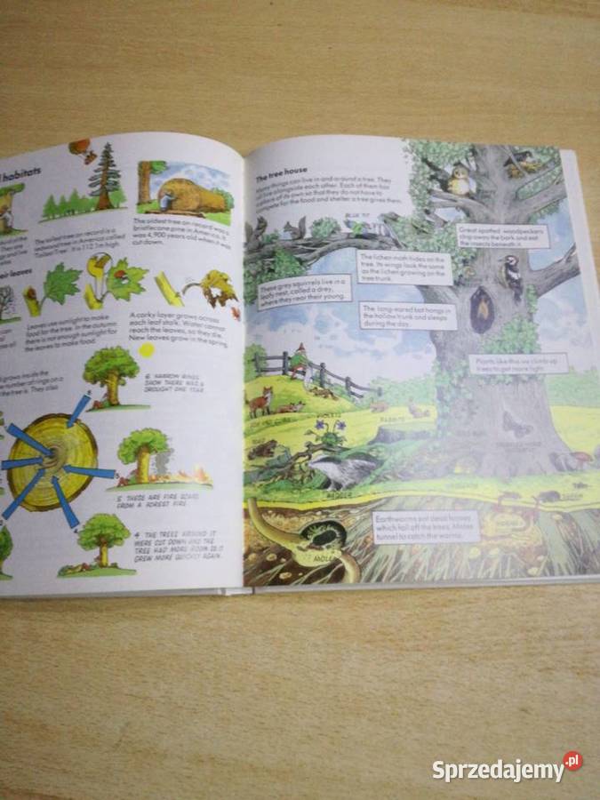 The Usborne Chidrens Encyklopedia Lublin