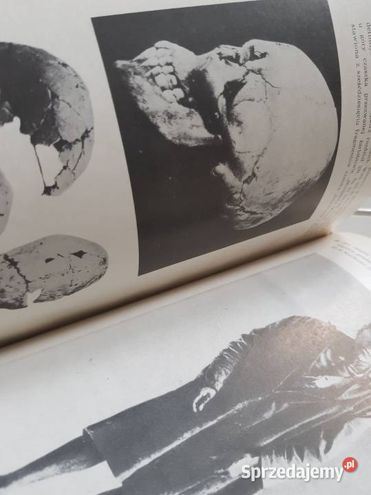 Ceram Pierwszy Amerykanin Zagadka studiów Kielce