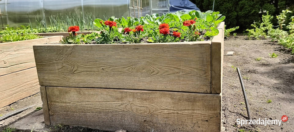 Grządki betonowe Rabata warzywna Poznań