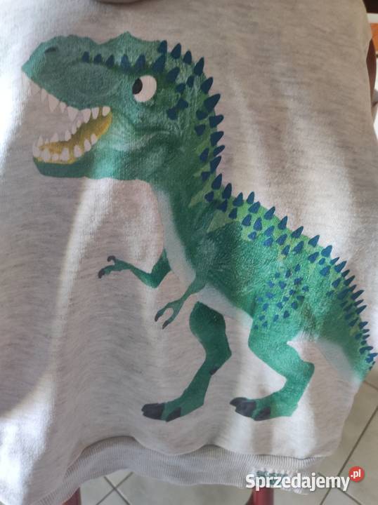 koszulka bluzka bluza dinozaur z dinozaurem Kielce