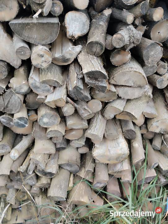 Jesion drewno kominkowe Lublin sprzedam