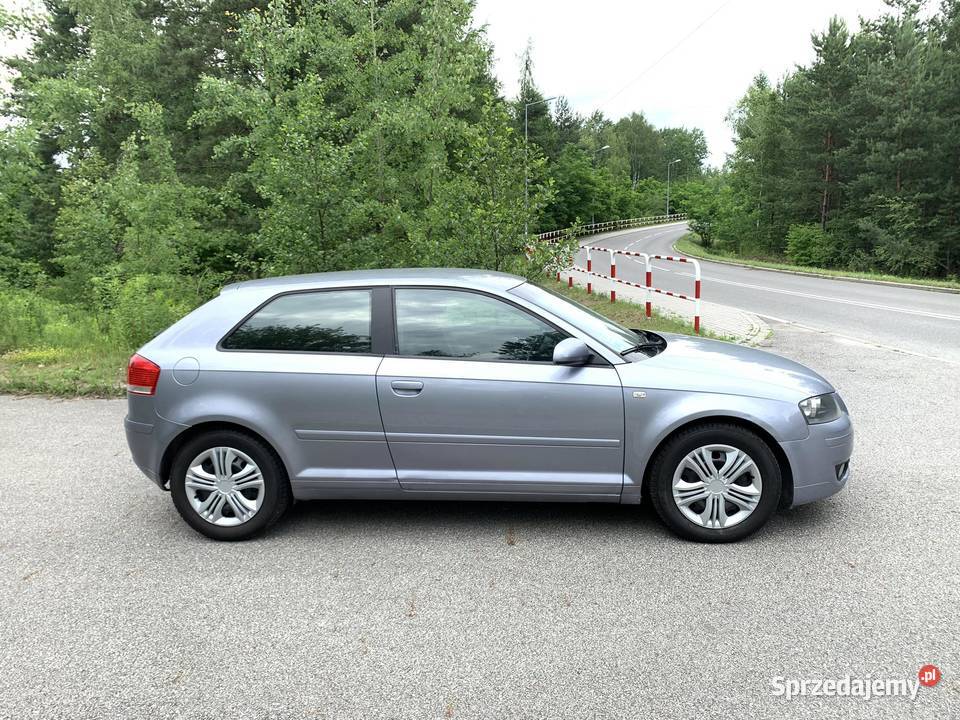 Audi A3 8P 19 TDI 105 BEZ DPF A3