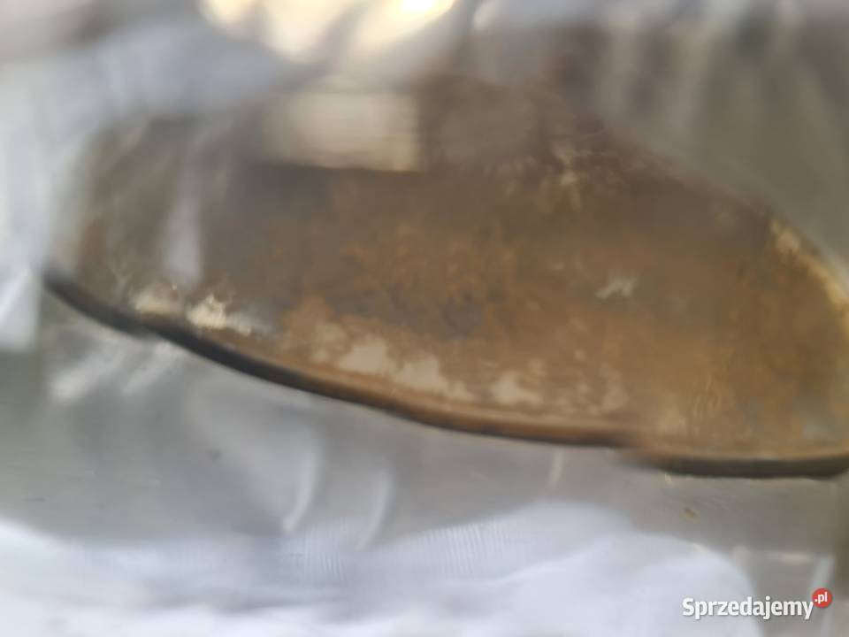 Lampa przednia lewa hyundai coupe Części samochodowe Żory sprzedam