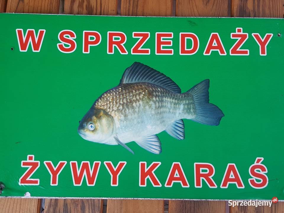NOWOŚCI W SKLEPIE WĘDKARSKIM W ŁĘGU TARNOWSKIM