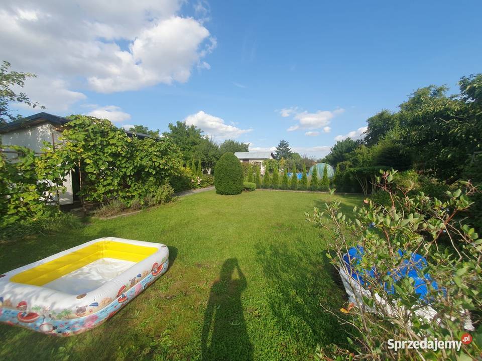 Działka ROD Kraszewskiego Pruszcz Gdański