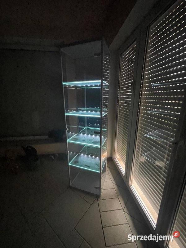 witryna 35cm Poznań