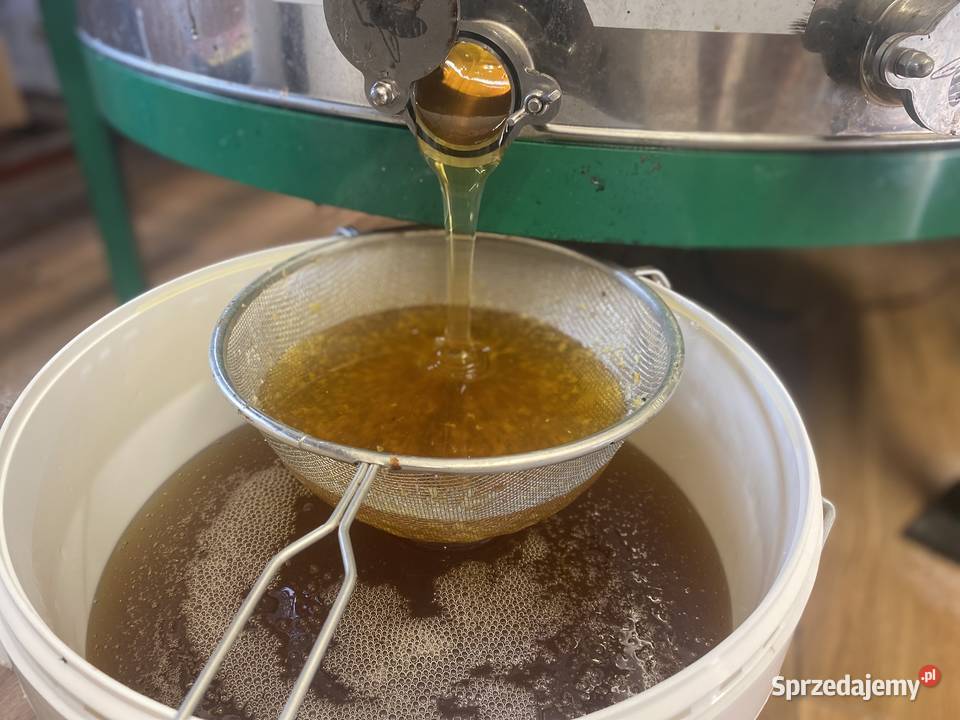 Oferujemy najwyższej jakości miód wielokwiatowy