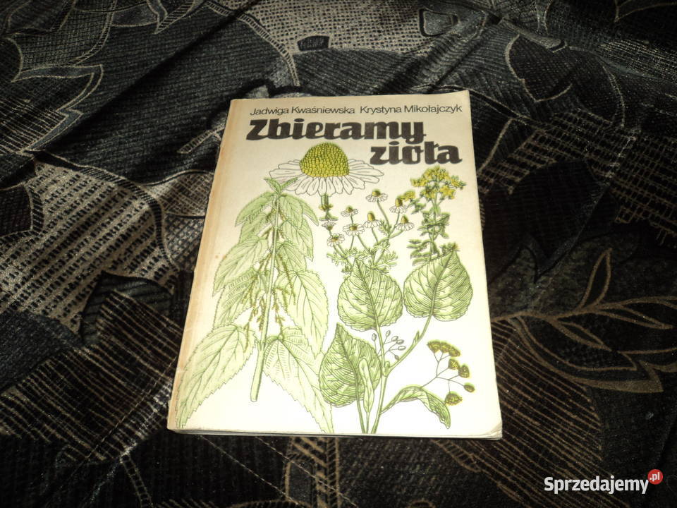 Zbieramy zioła J Kwaśniewska