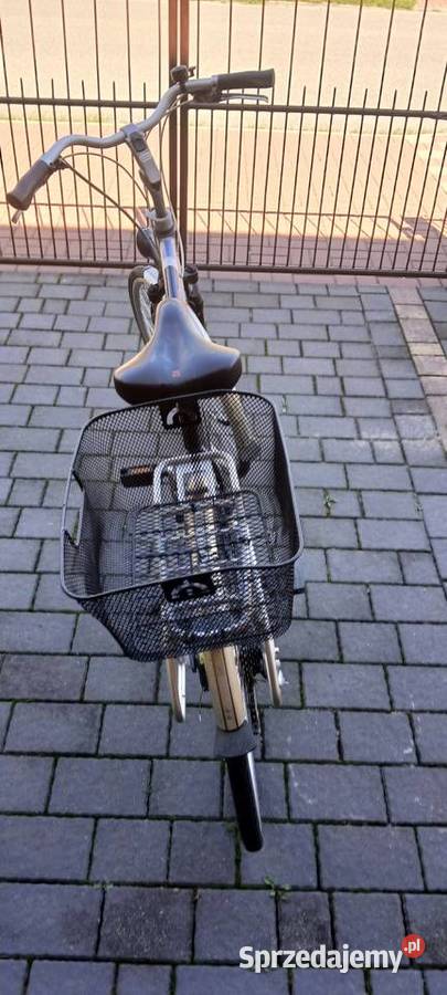 Rower męaki giant koła 28 L Terespol