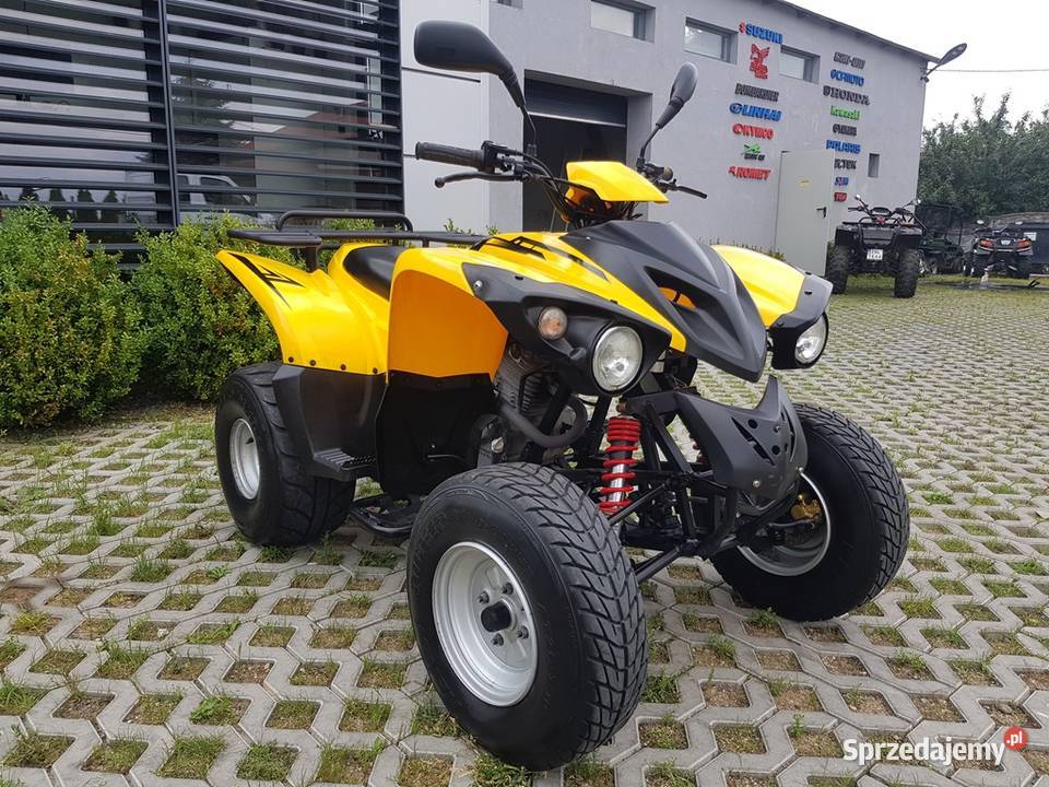 ADLY 300 Super Stan Homologacja SERWIS DOSTAWA Wały A