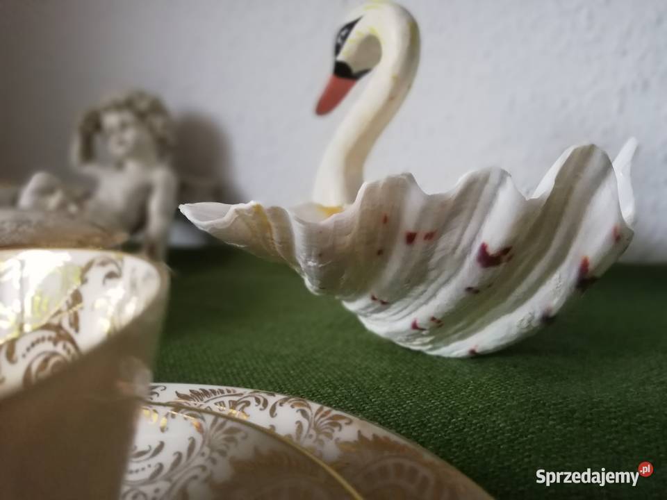 Piękny łabedż z muszli Ropa