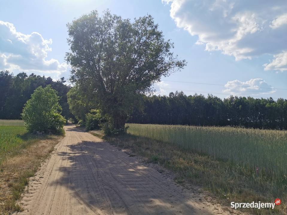 SZUMLIN Działki rekreacyjne z warunkami zabudowy 46zł/m2