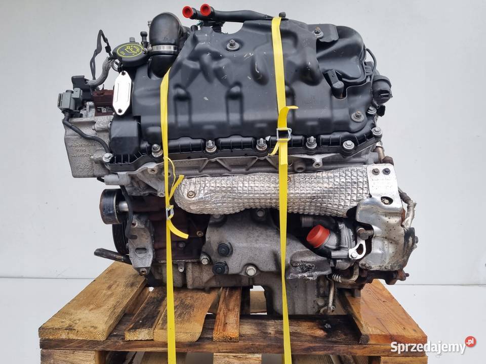 SILNIK BEZ OSPRZĘTU Land Rover Range Rover Vogue Rudka