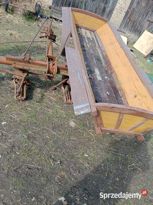 Wasąng kony Krasnystaw