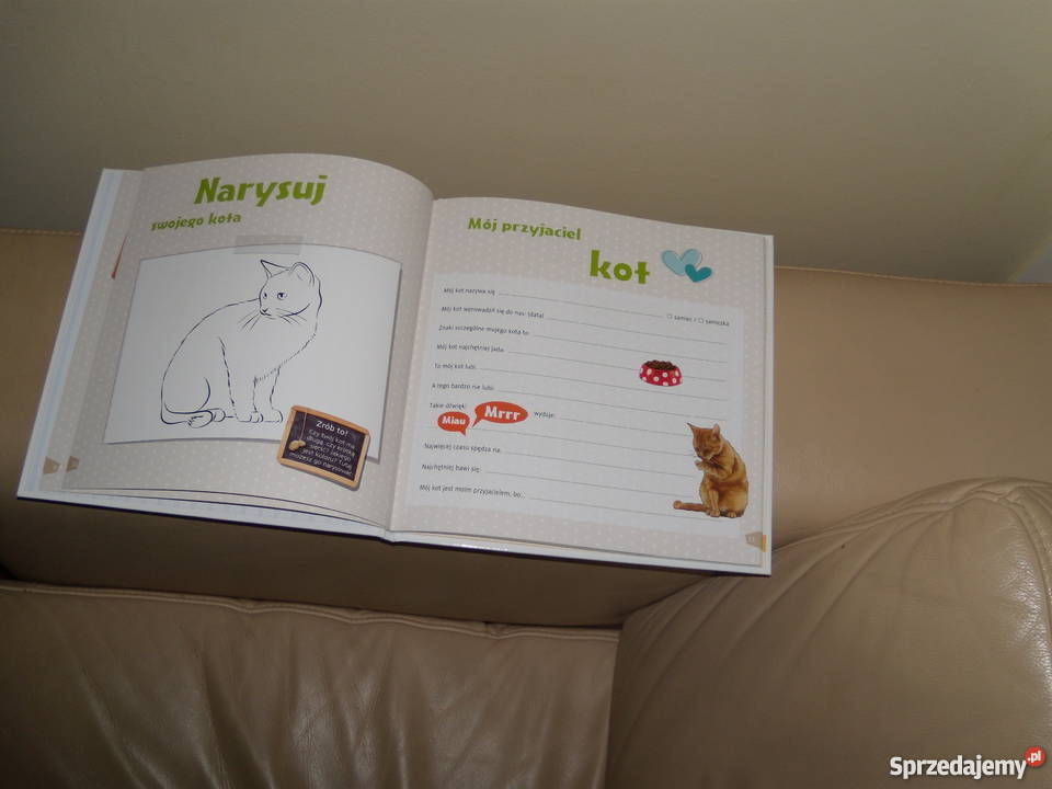Claudia Toll Mój kotek Książki dla dzieci Warszawa