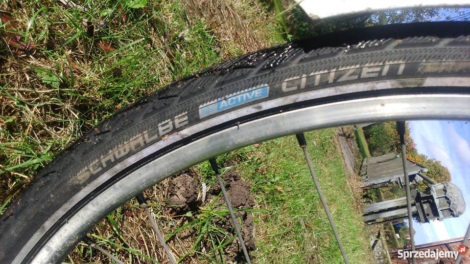 Batavus boulevard nexus 7 trekkingowy batavus Parczew