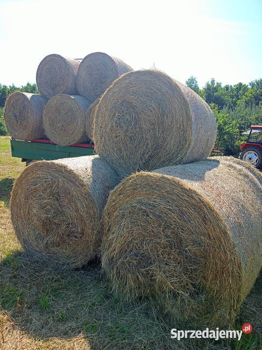 Siano baloty 120 Wał-Ruda