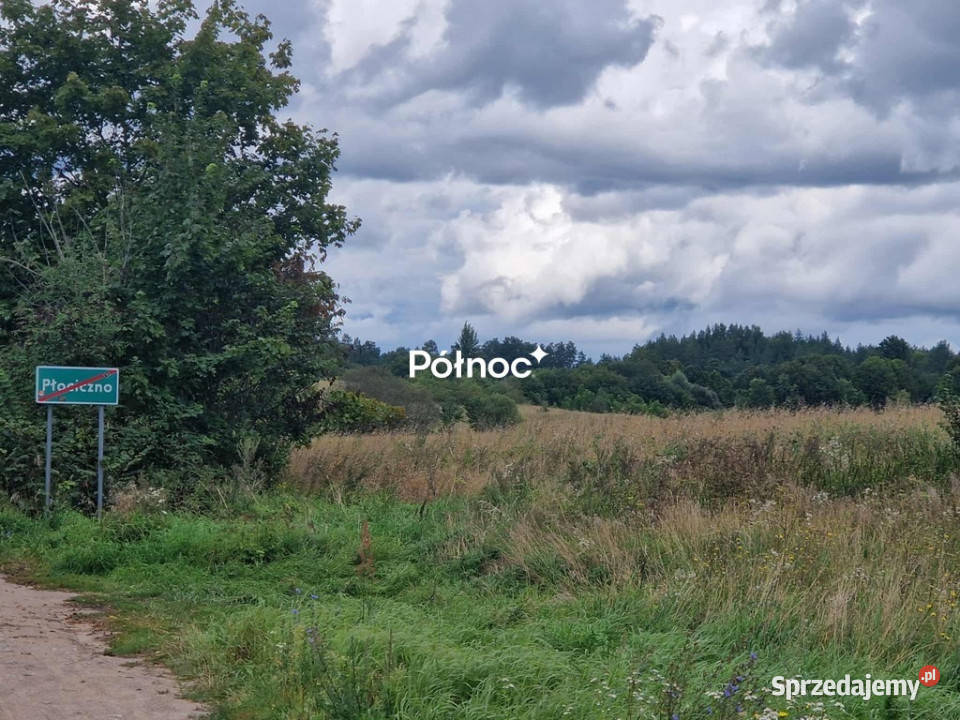 Działki budowlane i rolne jez Zdrężno Płociczno sprzedam