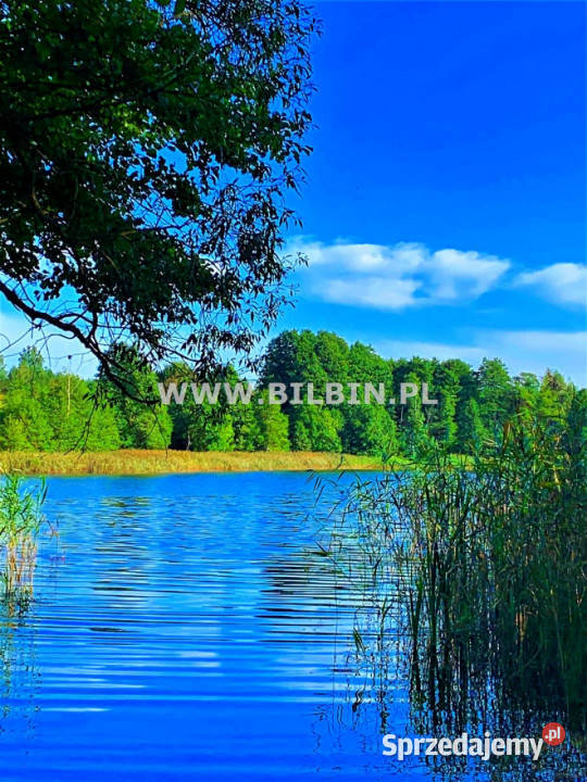 Działka 22313m2 Przerośl podlaskie