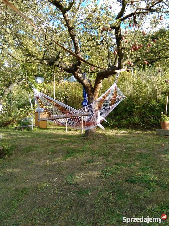 Działka ROD ORANIĄ rekreacyjna Gdańsk