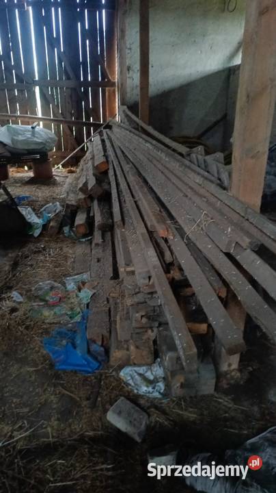 100 letnia wierzba dachowa