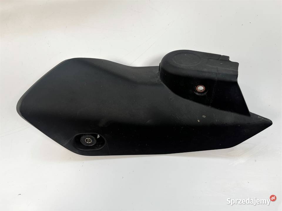 BMW R 1250 R K54 RS K54 19 Tłumik Wydech Osłona Układ wydechowy wielkopolskie Łobżenica