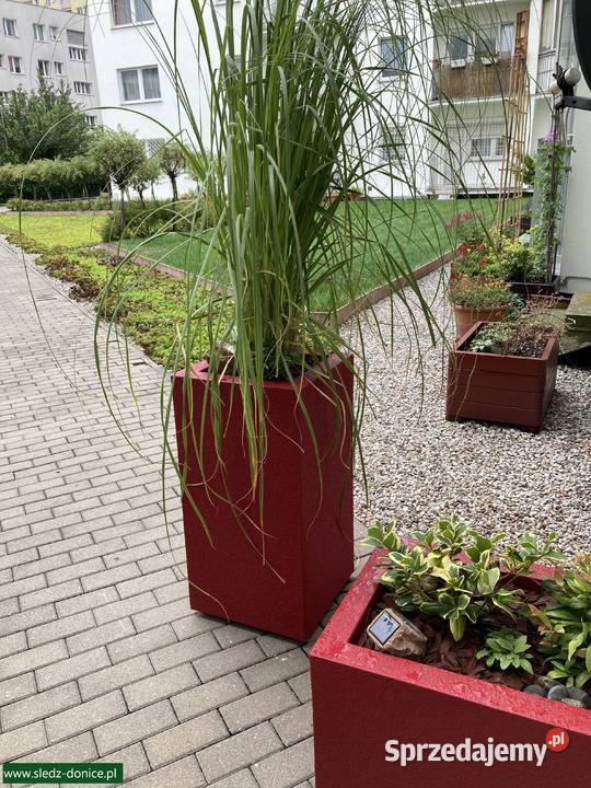 Duże donice Lekkie donice na Wymiar ŚledźDONICE Poznań