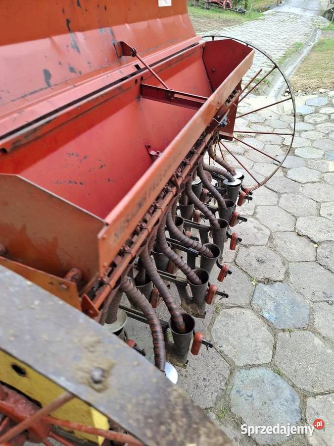 Sprzedam siewnik małopolskie Nowy Sącz