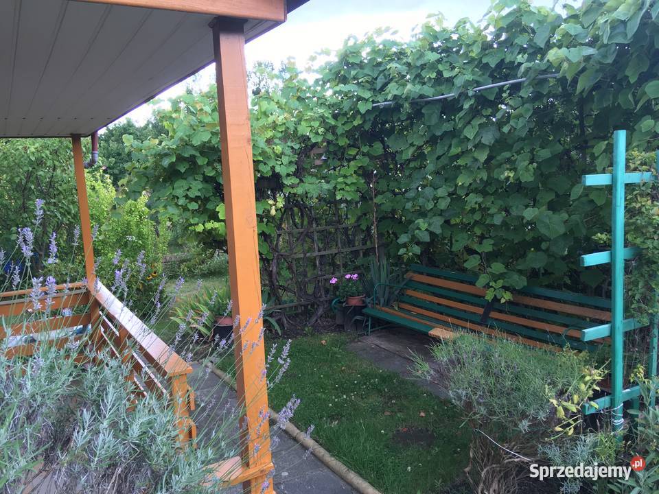 Sprzedam ogródek działkowy ROD Bardzka Wrocław Sprzedaż