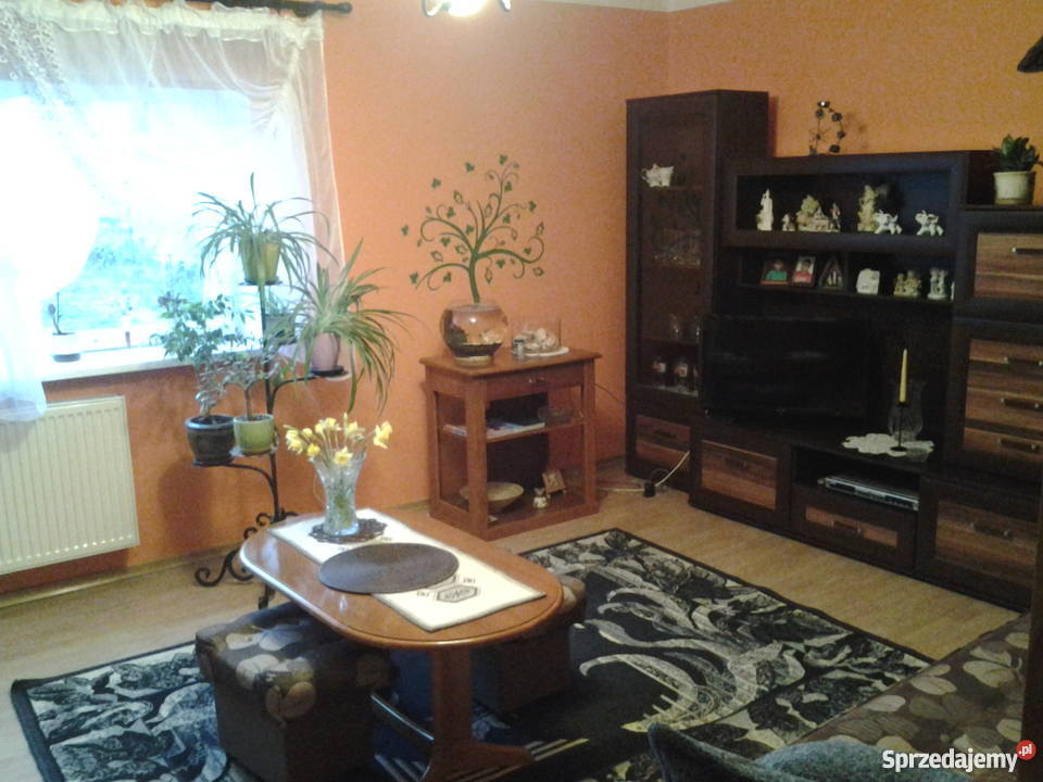 Sprzedam DOM Zawiśle Włocławek Domy Domy Włocławek