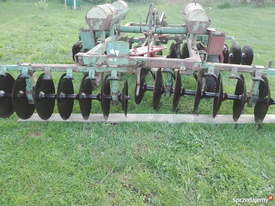 Talerzowka polska 3m