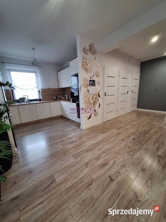 Dom wolnostojący 406m2 Jankowice
