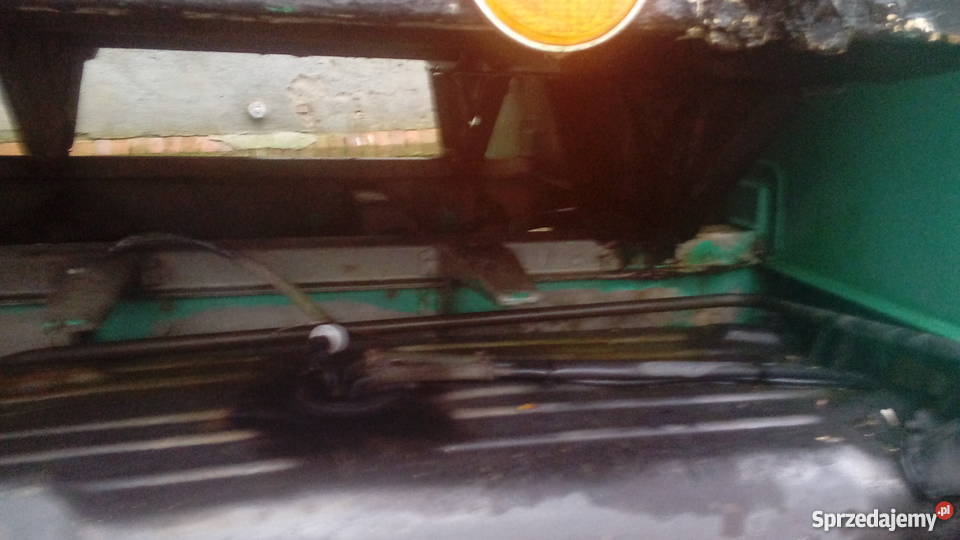 Mercedes kaczka do bydła żywca