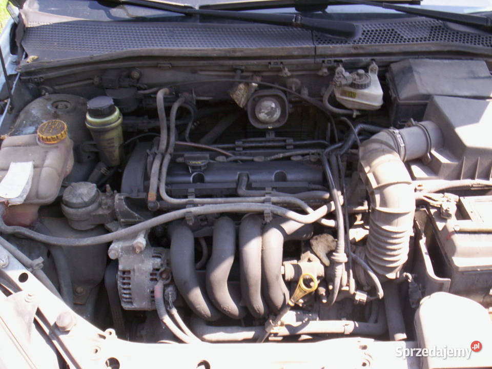 FORD FOCUS MK1 Silnik 16 16v Zetec 150 Stan 105 śląskie Częstochowa