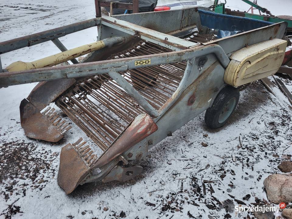 Kopaczka elewatorowa do ziemniaków mazowieckie Wiskitki