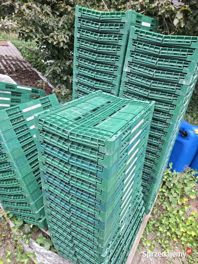 Skrzynki plastikowe owoce warzywa składane Rolnictwo Podzborów sprzedam